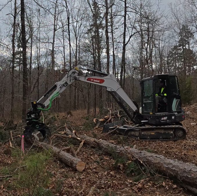 Bobcat E60 grapple handling felled pine logs
