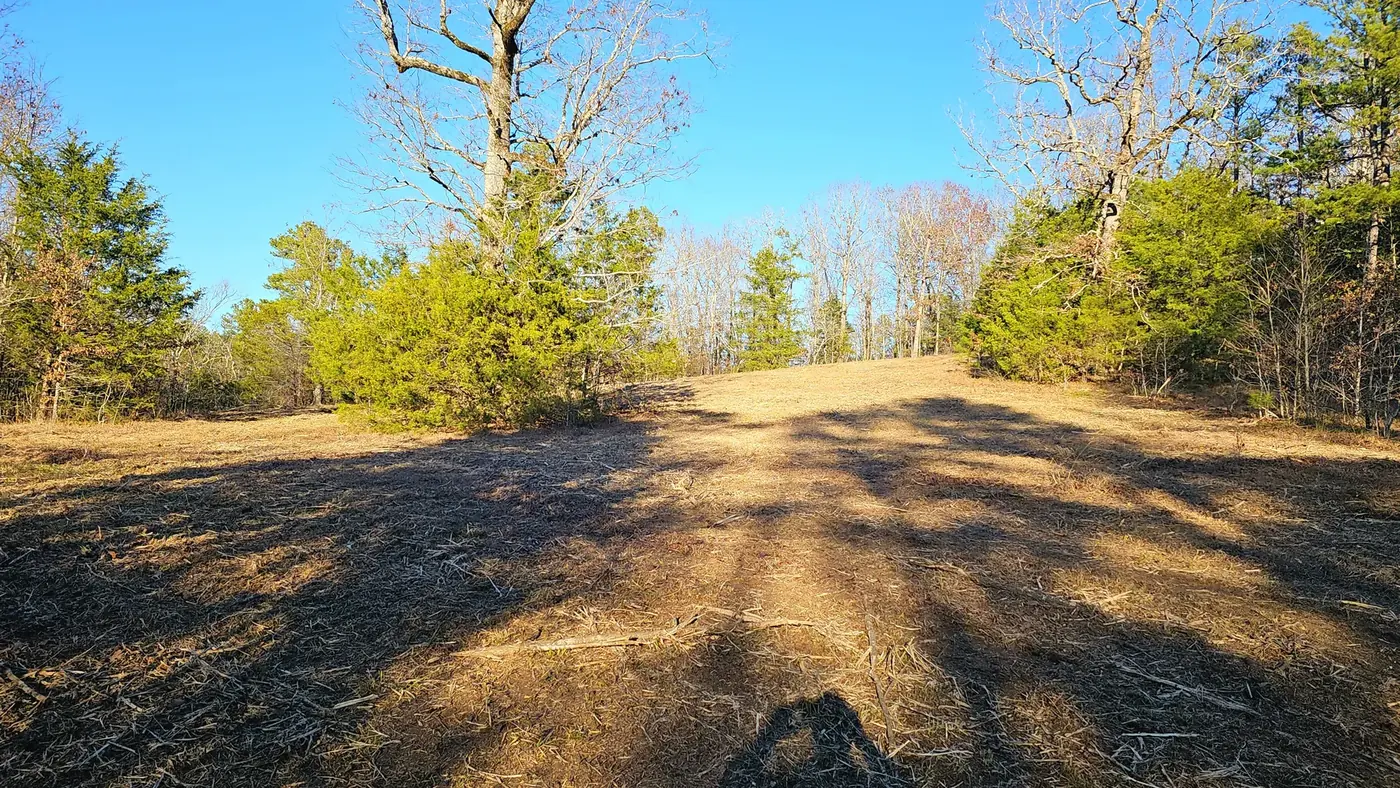Lot after brush clearing