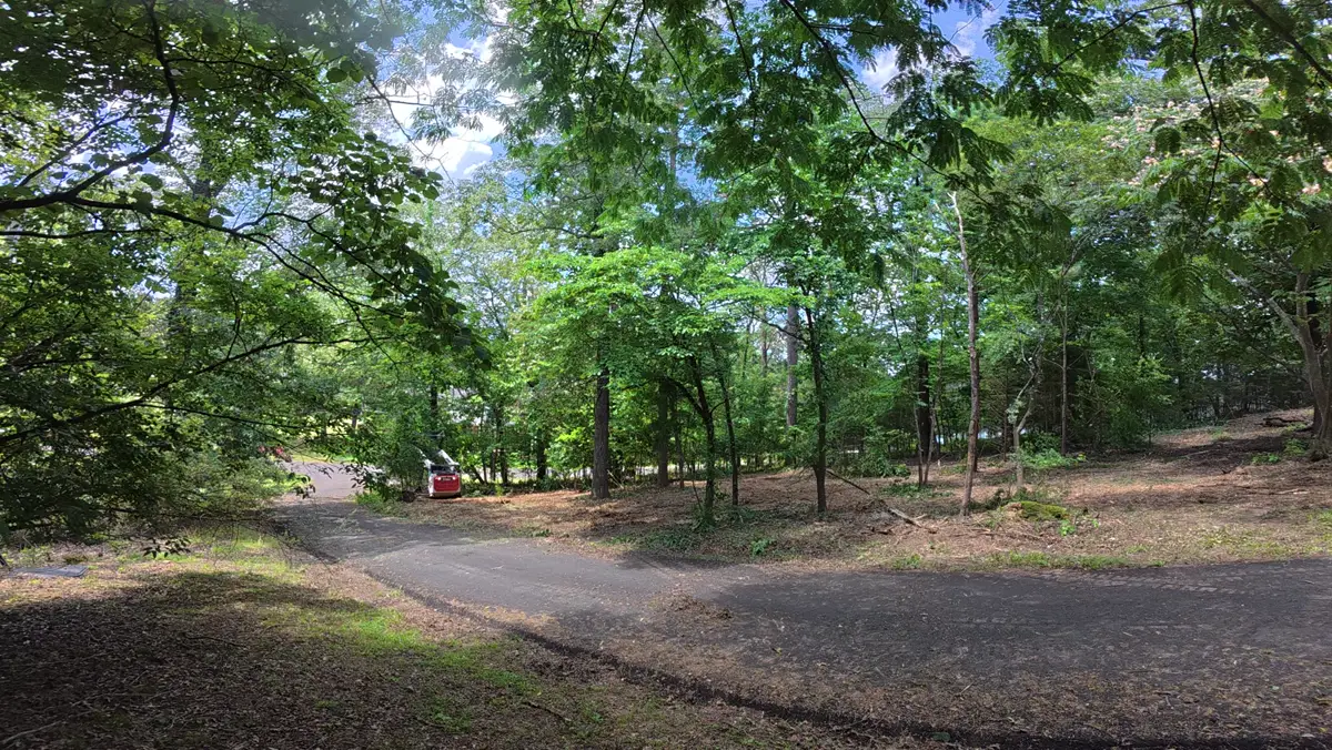 The same road bend after brush clearing