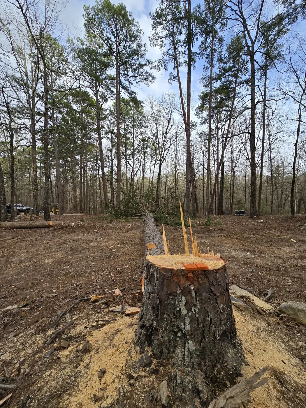 Controlled tree removal completed at a wooded homesite