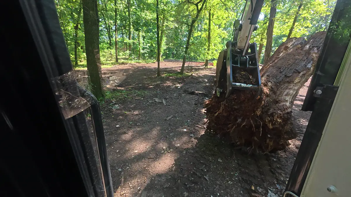 Excavator grapple lifting a large stump and root ball