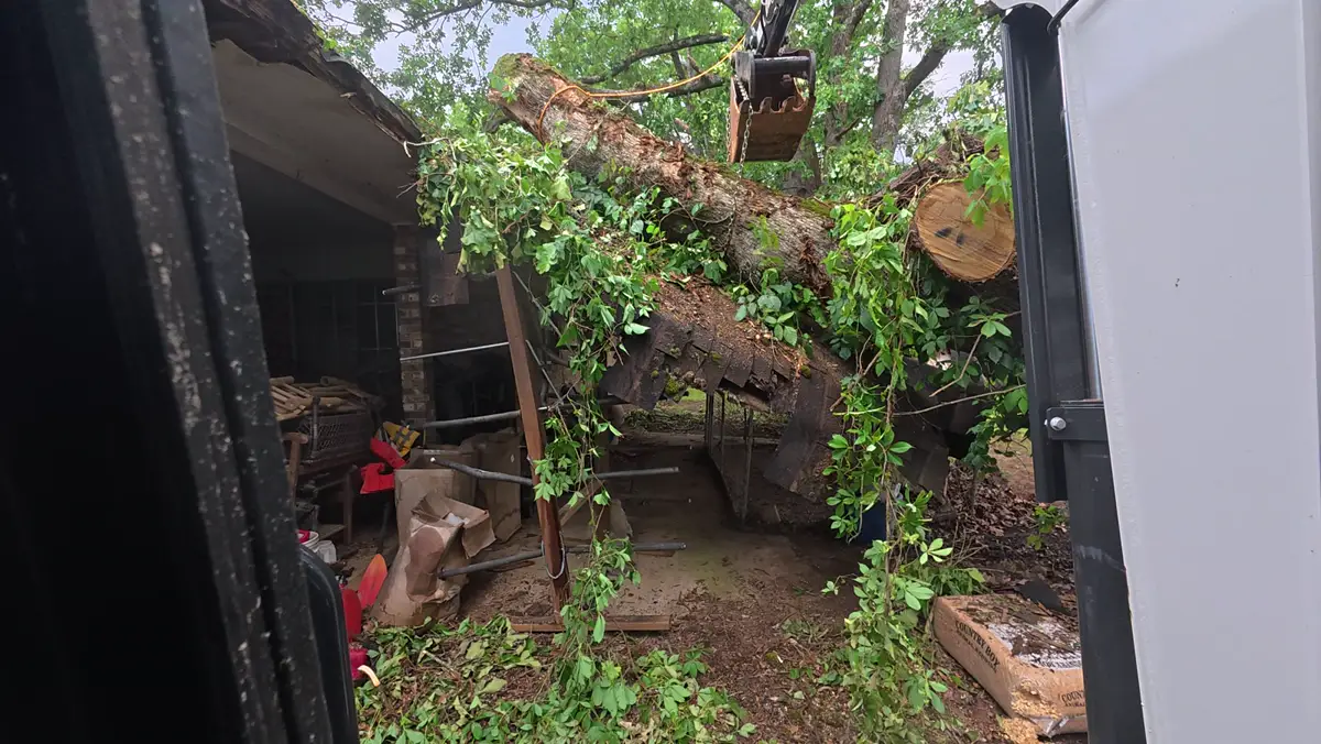 Excavator grapple holding a trunk that fell on a carport roof